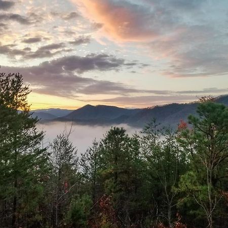 Lazy Bear Lodge Севьервилл Экстерьер фото
